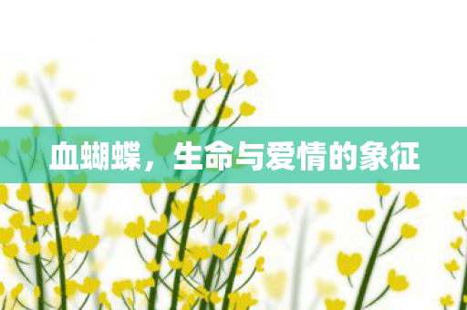 血蝴蝶，生命与爱情的象征