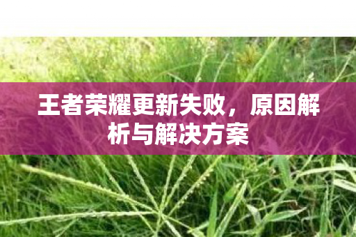 王者荣耀更新失败，原因解析与解决方案