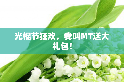 光棍节狂欢，我叫MT送大礼包！