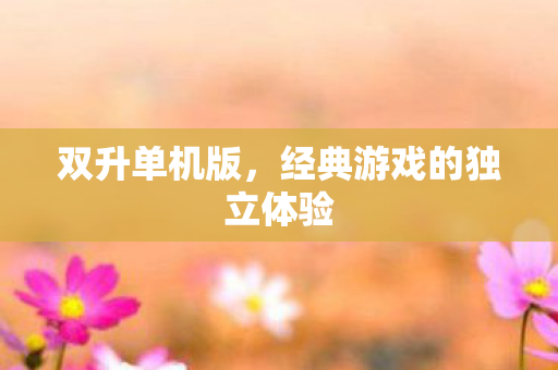 双升单机版，经典游戏的独立体验