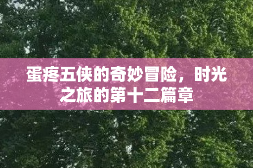 蛋疼五侠的奇妙冒险，时光之旅的第十二篇章