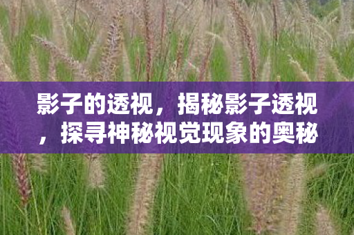 影子的透视，揭秘影子透视，探寻神秘视觉现象的奥秘