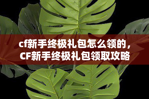 cf新手终极礼包怎么领的，CF新手终极礼包领取攻略