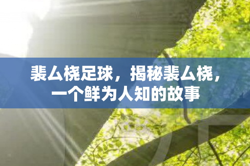裴厶桡足球，揭秘裴厶桡，一个鲜为人知的故事