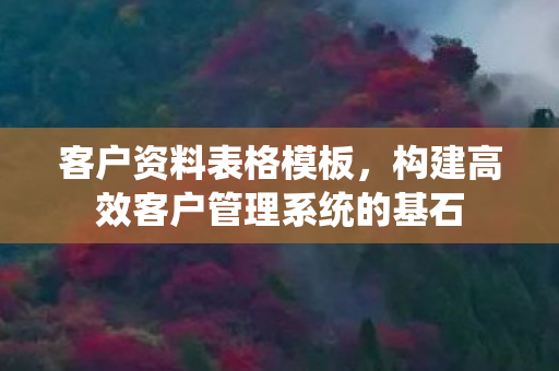 客户资料表格模板，构建高效客户管理系统的基石