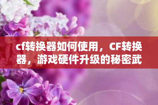 cf转换器如何使用，CF转换器，游戏硬件升级的秘密武器