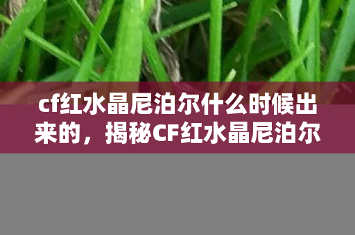 cf红水晶尼泊尔什么时候出来的，揭秘CF红水晶尼泊尔，神秘武器的背后故事