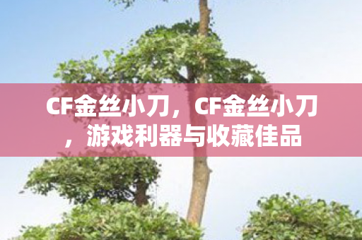 CF金丝小刀，CF金丝小刀，游戏利器与收藏佳品