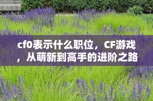 cf0表示什么职位，CF游戏，从萌新到高手的进阶之路