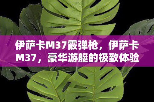 伊萨卡M37霰弹枪，伊萨卡M37，豪华游艇的极致体验