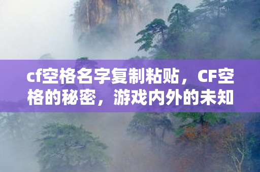 cf空格名字复制粘贴，CF空格的秘密，游戏内外的未知世界