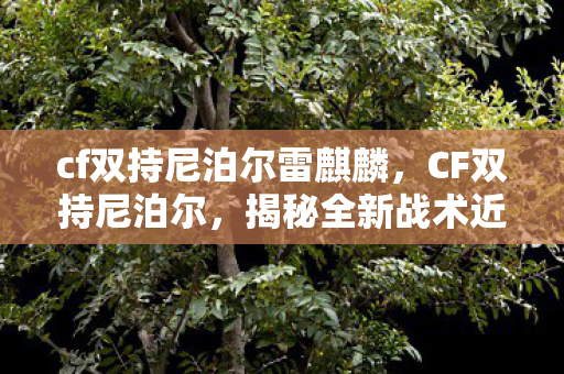 cf双持尼泊尔雷麒麟，CF双持尼泊尔，揭秘全新战术近战武器的魅力与实战应用