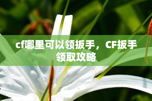 cf哪里可以领扳手，CF扳手领取攻略
