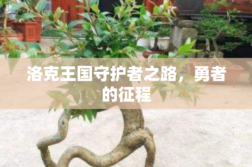 洛克王国守护者之路，勇者的征程