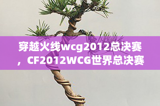 穿越火线wcg2012总决赛，CF2012WCG世界总决赛，电竞巅峰之战的辉煌回顾