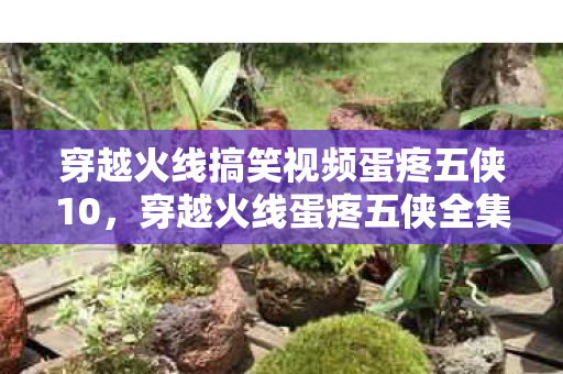 穿越火线搞笑视频蛋疼五侠10，穿越火线蛋疼五侠全集，传奇故事与游戏激情的交融