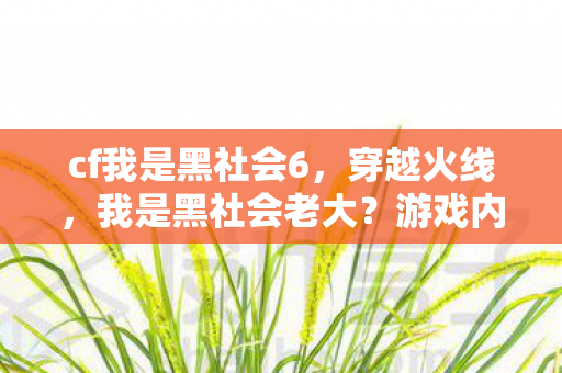 cf我是黑社会6，穿越火线，我是黑社会老大？游戏内外的道义与责任