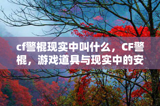 cf警棍现实中叫什么，CF警棍，游戏道具与现实中的安全卫士