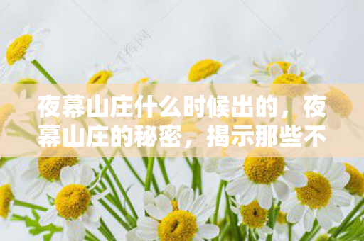 夜幕山庄什么时候出的，夜幕山庄的秘密，揭示那些不为人知的BUG