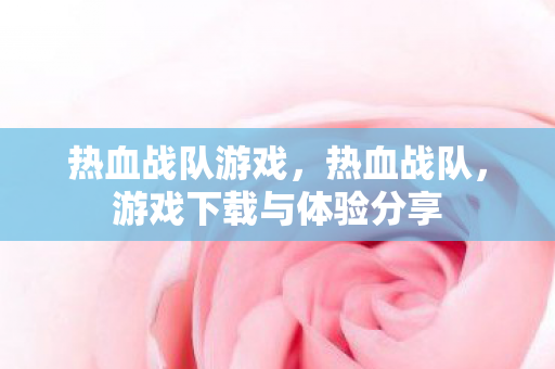 热血战队游戏，热血战队，游戏下载与体验分享