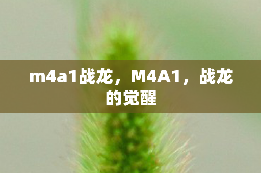 m4a1战龙，M4A1，战龙的觉醒