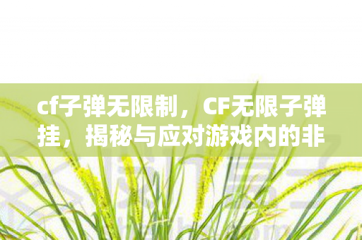 cf子弹无限制，CF无限子弹挂，揭秘与应对游戏内的非法外挂现象