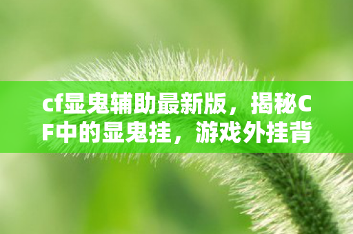 cf显鬼辅助最新版，揭秘CF中的显鬼挂，游戏外挂背后的真相