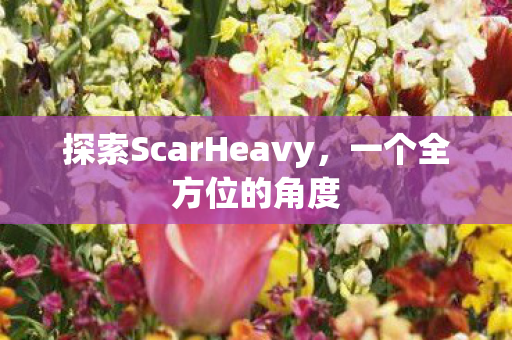探索ScarHeavy，一个全方位的角度