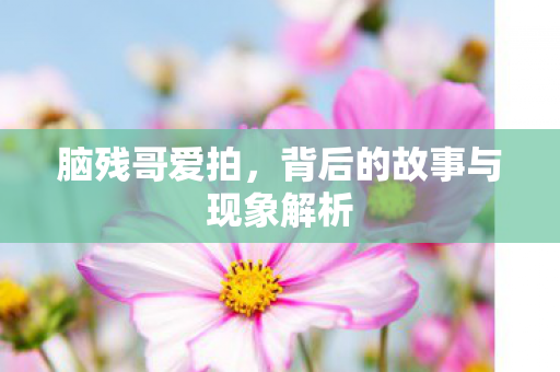 脑残哥爱拍，背后的故事与现象解析