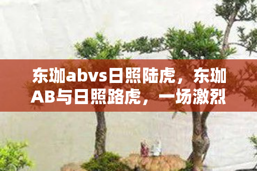 东珈abvs日照陆虎，东珈AB与日照路虎，一场激烈的对决