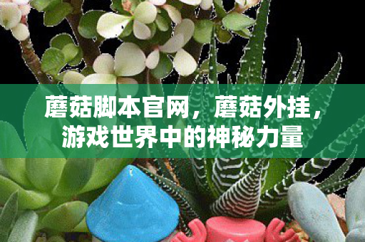 蘑菇脚本官网，蘑菇外挂，游戏世界中的神秘力量