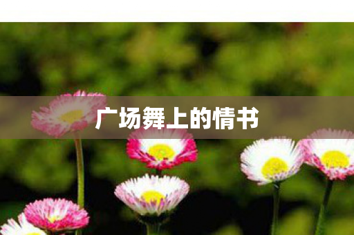 广场舞上的情书