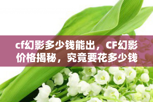 cf幻影多少钱能出，CF幻影价格揭秘，究竟要花多少钱才能拥有？