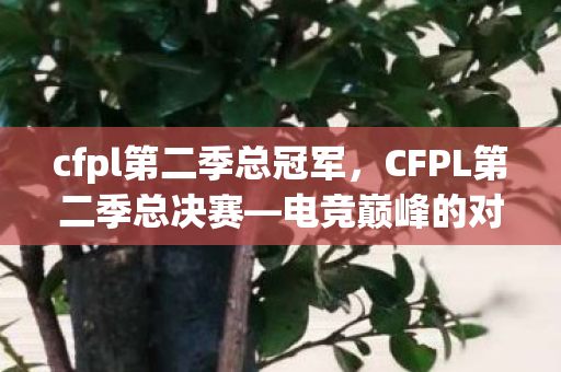 cfpl第二季总冠军，CFPL第二季总决赛—电竞巅峰的对决
