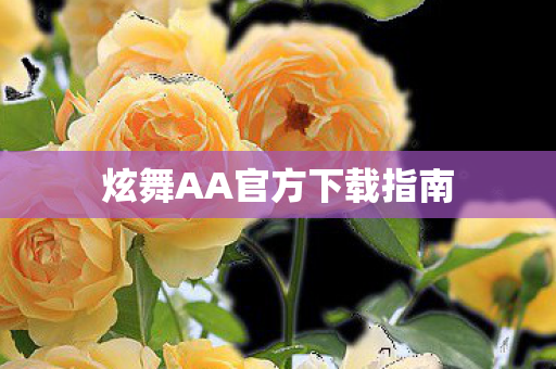 炫舞AA官方下载指南