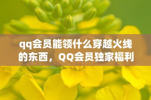qq会员能领什么穿越火线的东西，QQ会员独家福利，CF礼包领取攻略