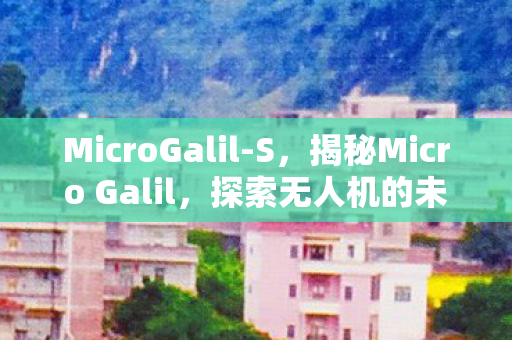 MicroGalil-S，揭秘Micro Galil，探索无人机的未来之星