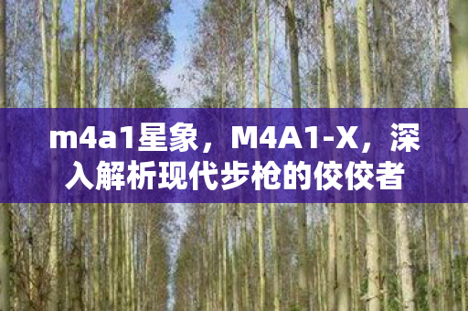 m4a1星象，M4A1-X，深入解析现代步枪的佼佼者