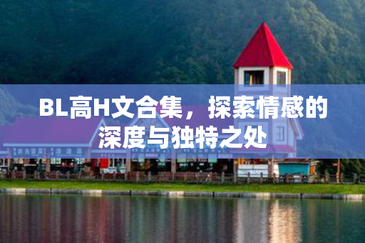 BL高H文合集，探索情感的深度与独特之处