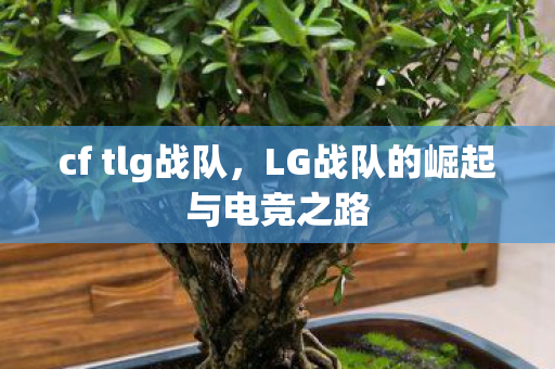 cf tlg战队，LG战队的崛起与电竞之路