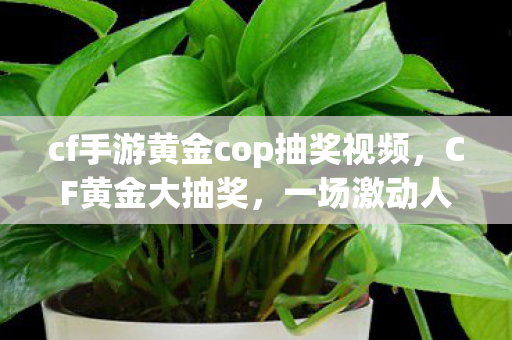 cf手游黄金cop抽奖视频，CF黄金大抽奖，一场激动人心的游戏盛宴
