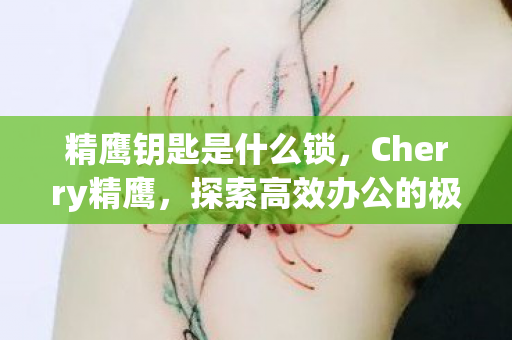 精鹰钥匙是什么锁，Cherry精鹰，探索高效办公的极致体验