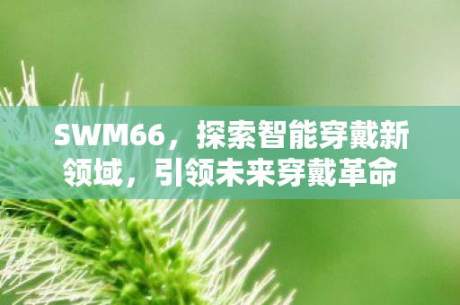 SWM66，探索智能穿戴新领域，引领未来穿戴革命