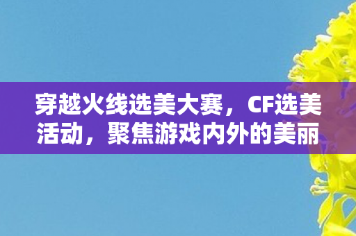穿越火线选美大赛，CF选美活动，聚焦游戏内外的美丽瞬间