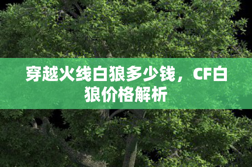 穿越火线白狼多少钱，CF白狼价格解析