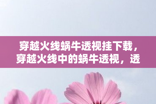 穿越火线蜗牛透视挂下载，穿越火线中的蜗牛透视，透视真相，游戏乐趣的探寻