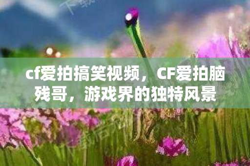 cf爱拍搞笑视频，CF爱拍脑残哥，游戏界的独特风景