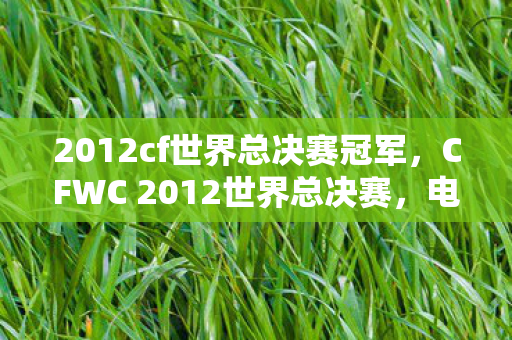 2012cf世界总决赛冠军，CFWC 2012世界总决赛，电竞盛宴，荣耀之巅