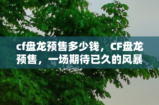 cf盘龙预售多少钱，CF盘龙预售，一场期待已久的风暴即将来临！