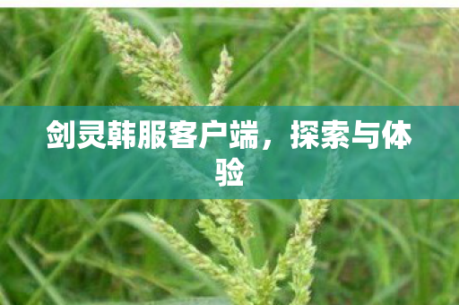 剑灵韩服客户端，探索与体验